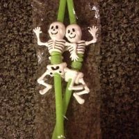 HALL- Skeleton Straws